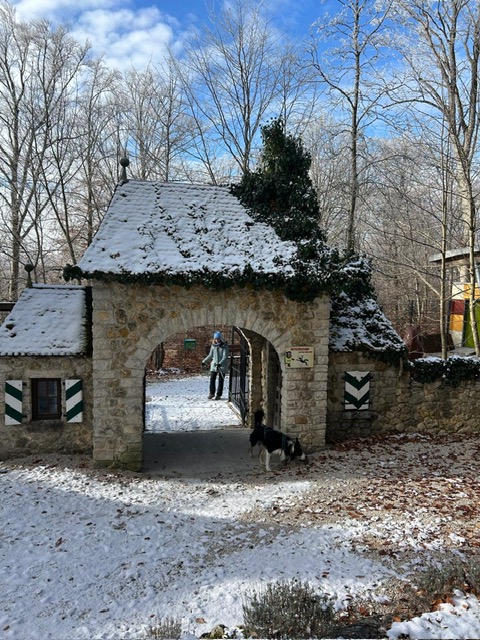 4d6a11d6-7c4a-4c11-b735-13746554beff