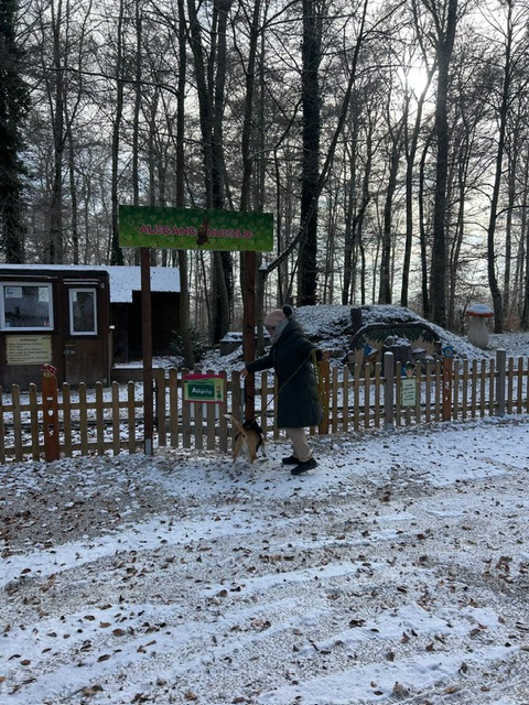 52801e76-67a6-4b34-b87e-84204c5a4679