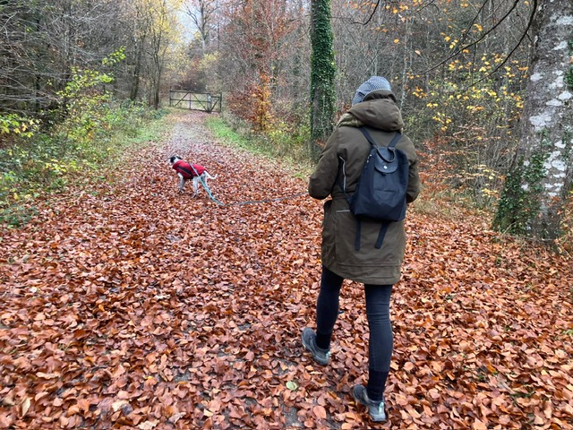 b7af9c8e-49b8-4e23-aa39-536beb5e92a7