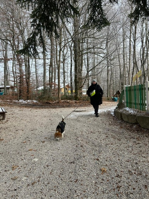 d1701012-4790-472a-b41a-a4a2a56d65f9