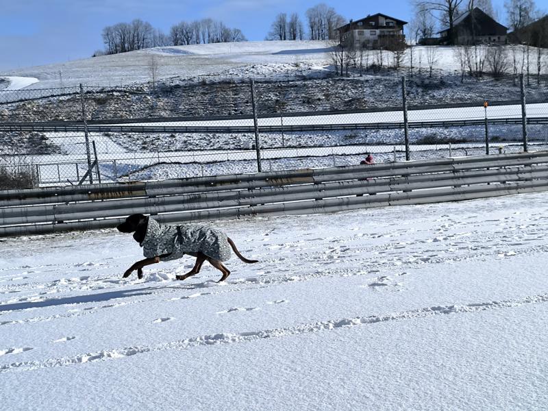 IMG_20251231_120119_1