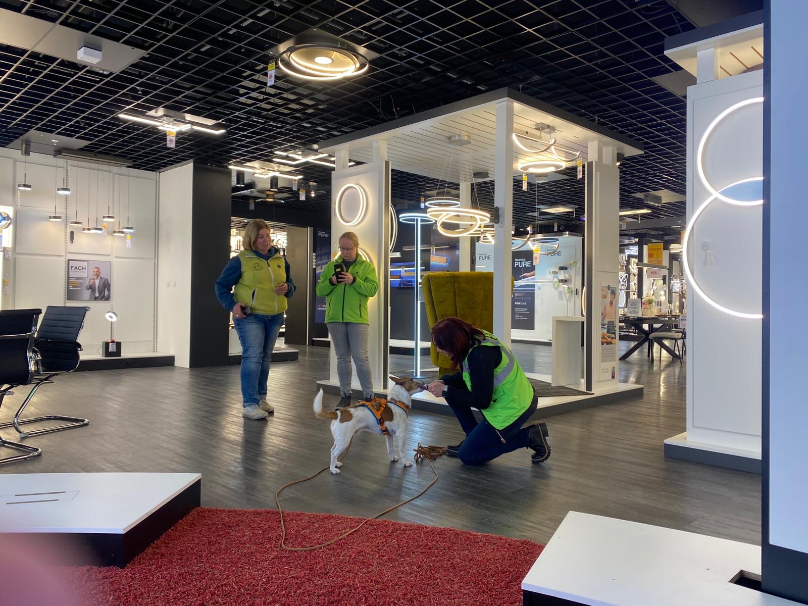 68459d7d-a239-47c1-bd33-9f4c87d0c7d5