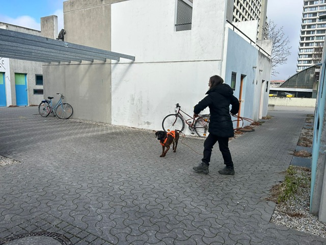 4FD9765A-7AA6-4C5E-A6BD-A323DF479A47