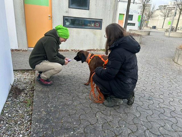 6AF52022-41EF-4837-A836-621EFB3E5ABE