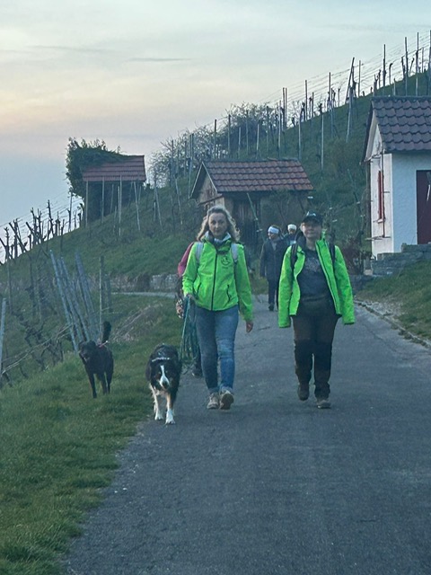 457cbb06-ca35-474d-ae17-2006b5defcbd