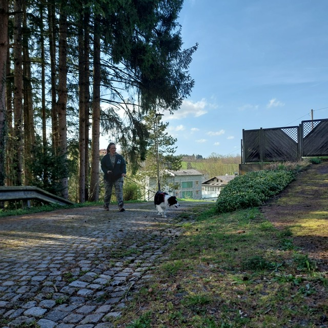 1094c59f-8a72-4676-88db-c2239163ca00